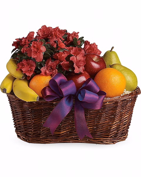 Plant & Fruit Basket
